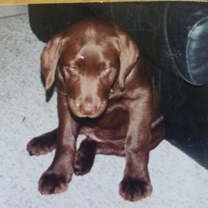 Meet your Posher, Angie dennis